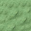 Green Stain(Pigment)–GLS-1255(100 gr) Crafist