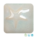 Ms-224 Mint Spice Glaze