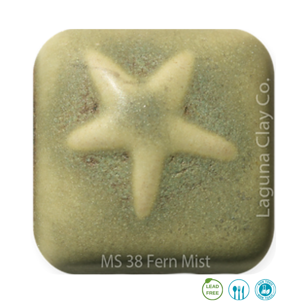 MS - 38 Fern Mist Glaze