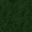 Green Stain(Pigment)–GLS-1270(100 gr) Crafist